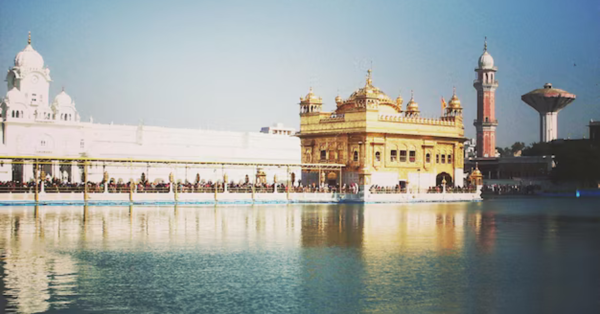 Untitled design (74)